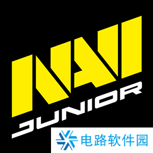 NAVI Junior最近2月赢得6场比赛冠军，赚取56000美元奖金