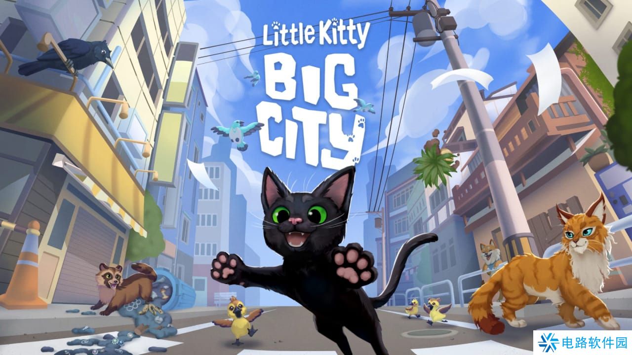 小猫咪大城市丨Little Kitty, Big City