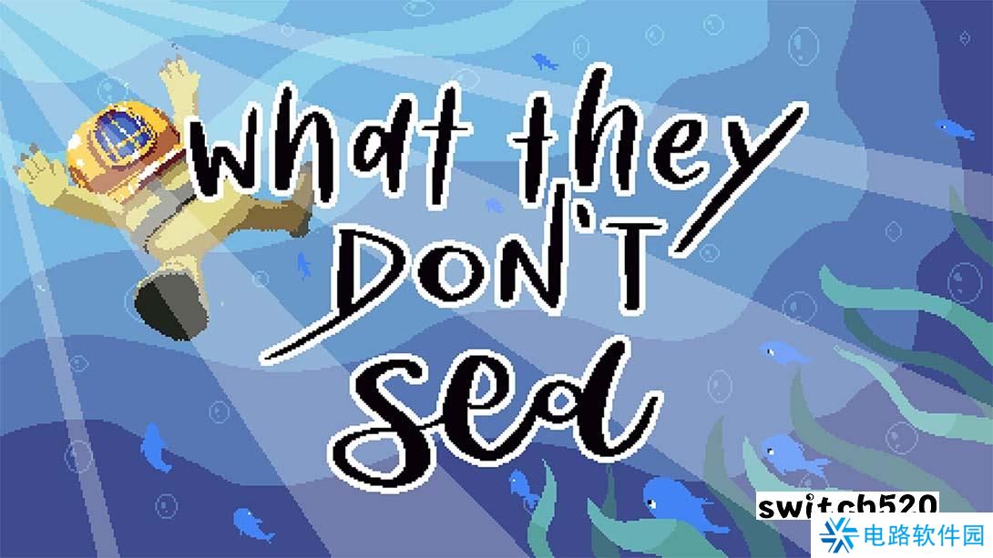 【美版】What They Dont Sea 英语