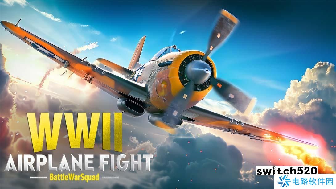 【美版】二战飞机战斗-作战中队 .WWII AIRPLANE FIGHT – Battle War Squad 英语