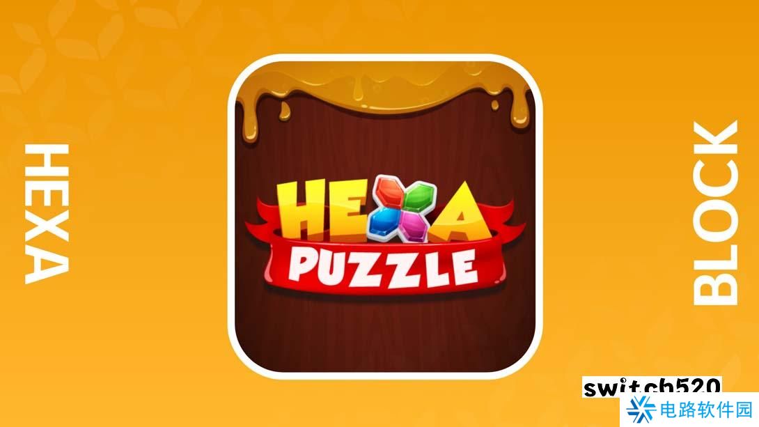 【美版】六边形拼图块 .Hexa Puzzle Block 英语